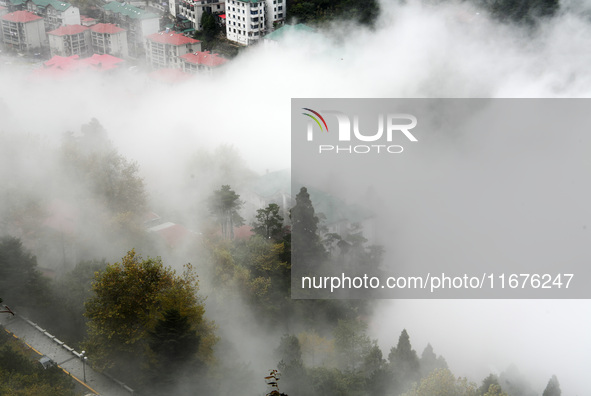 A sea of clouds is seen on Lushan Mountain, a World Cultural Heritage site, in Jiujiang, Jiangxi province, China, on October 17, 2024. 