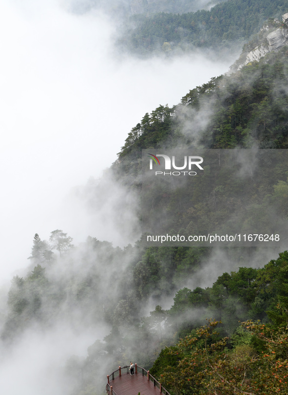 A sea of clouds is seen on Lushan Mountain, a World Cultural Heritage site, in Jiujiang, Jiangxi province, China, on October 17, 2024. 