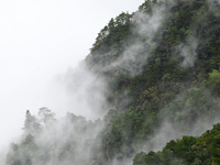 A sea of clouds is seen on Lushan Mountain, a World Cultural Heritage site, in Jiujiang, Jiangxi province, China, on October 17, 2024. (