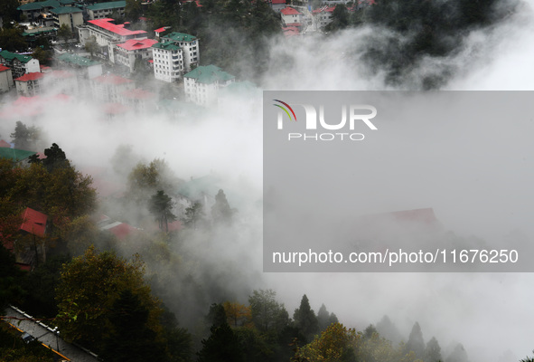 A sea of clouds is seen on Lushan Mountain, a World Cultural Heritage site, in Jiujiang, Jiangxi province, China, on October 17, 2024. 