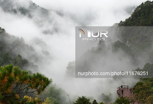 A sea of clouds is seen on Lushan Mountain, a World Cultural Heritage site, in Jiujiang, Jiangxi province, China, on October 17, 2024. 