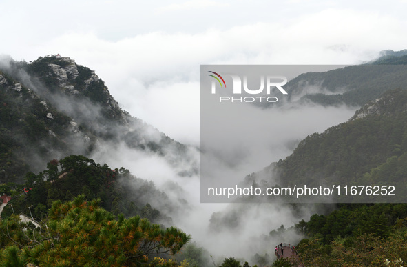 A sea of clouds is seen on Lushan Mountain, a World Cultural Heritage site, in Jiujiang, Jiangxi province, China, on October 17, 2024. 