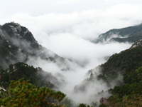 A sea of clouds is seen on Lushan Mountain, a World Cultural Heritage site, in Jiujiang, Jiangxi province, China, on October 17, 2024. (