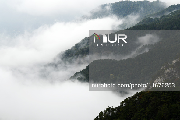 A sea of clouds is seen on Lushan Mountain, a World Cultural Heritage site, in Jiujiang, Jiangxi province, China, on October 17, 2024. 