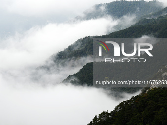 A sea of clouds is seen on Lushan Mountain, a World Cultural Heritage site, in Jiujiang, Jiangxi province, China, on October 17, 2024. (