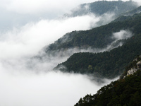 A sea of clouds is seen on Lushan Mountain, a World Cultural Heritage site, in Jiujiang, Jiangxi province, China, on October 17, 2024. (