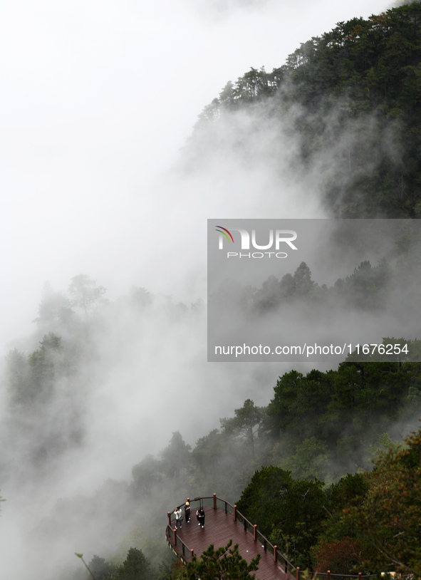 A sea of clouds is seen on Lushan Mountain, a World Cultural Heritage site, in Jiujiang, Jiangxi province, China, on October 17, 2024. 