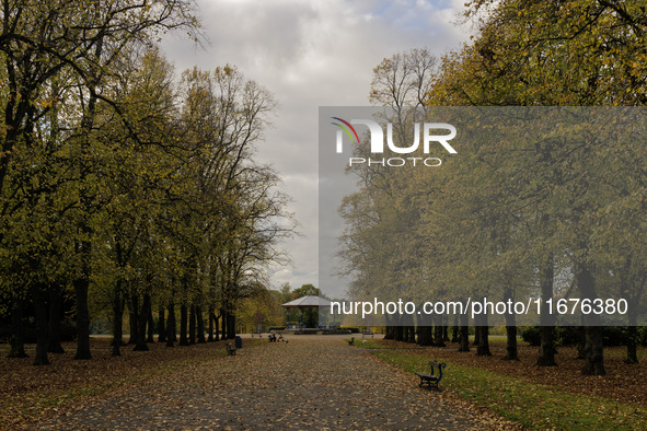 A general autumnal view of the Bandstand in Ropner Park in Stockton on Tees, United Kingdom, on October 18, 2024. Parks and green spaces lik...