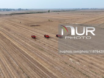 Workers drive a fertilizer spreader to distribute organic fertilizer in preparation for wheat planting in a high-standard farmland in Liaoch...