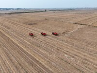 Workers drive a fertilizer spreader to distribute organic fertilizer in preparation for wheat planting in a high-standard farmland in Liaoch...