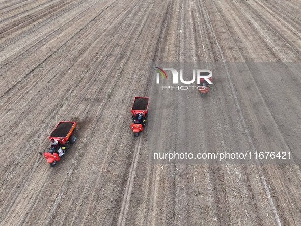 Workers drive a fertilizer spreader to distribute organic fertilizer in preparation for wheat planting in a high-standard farmland in Liaoch...