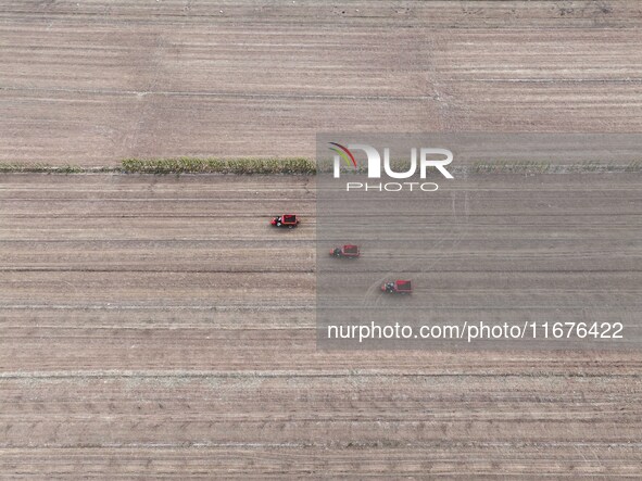 Workers drive a fertilizer spreader to distribute organic fertilizer in preparation for wheat planting in a high-standard farmland in Liaoch...