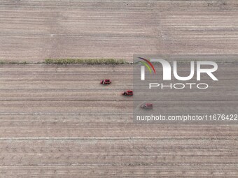 Workers drive a fertilizer spreader to distribute organic fertilizer in preparation for wheat planting in a high-standard farmland in Liaoch...