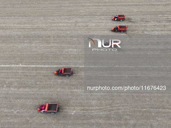 Workers drive a fertilizer spreader to distribute organic fertilizer in preparation for wheat planting in a high-standard farmland in Liaoch...