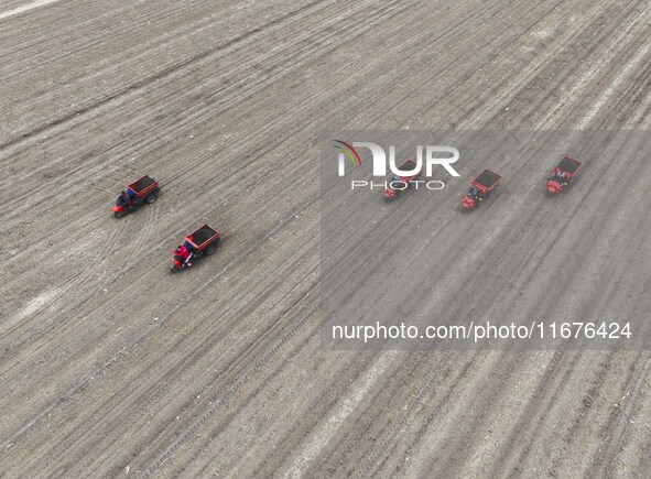 Workers drive a fertilizer spreader to distribute organic fertilizer in preparation for wheat planting in a high-standard farmland in Liaoch...