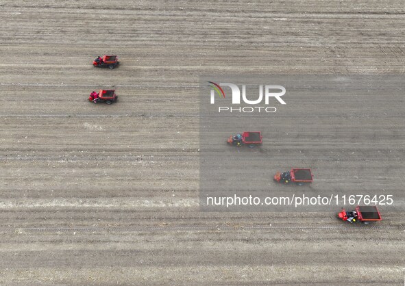 Workers drive a fertilizer spreader to distribute organic fertilizer in preparation for wheat planting in a high-standard farmland in Liaoch...