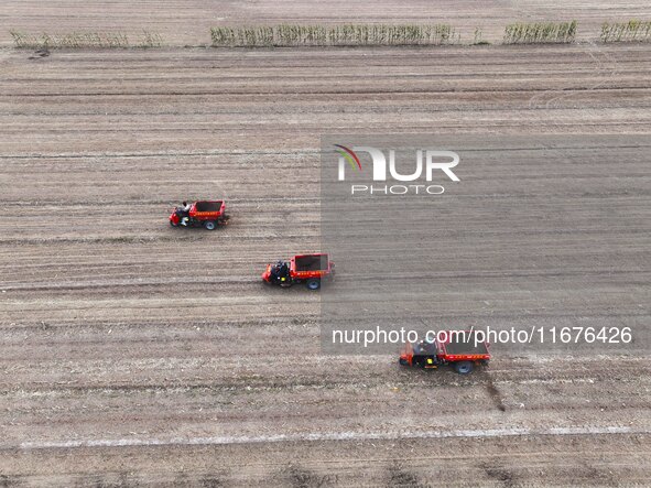 Workers drive a fertilizer spreader to distribute organic fertilizer in preparation for wheat planting in a high-standard farmland in Liaoch...