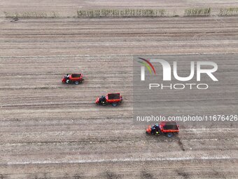 Workers drive a fertilizer spreader to distribute organic fertilizer in preparation for wheat planting in a high-standard farmland in Liaoch...