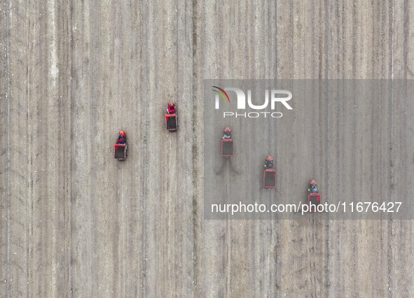 Workers drive a fertilizer spreader to distribute organic fertilizer in preparation for wheat planting in a high-standard farmland in Liaoch...