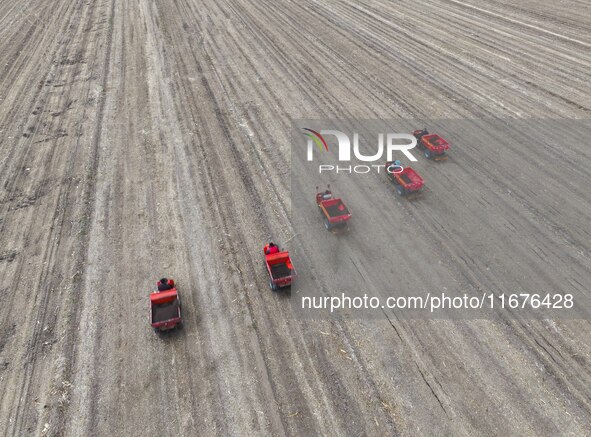 Workers drive a fertilizer spreader to distribute organic fertilizer in preparation for wheat planting in a high-standard farmland in Liaoch...