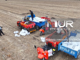 Workers drive a fertilizer spreader to distribute organic fertilizer in preparation for wheat planting in a high-standard farmland in Liaoch...