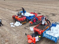 Workers drive a fertilizer spreader to distribute organic fertilizer in preparation for wheat planting in a high-standard farmland in Liaoch...