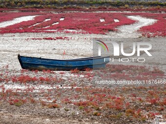 The Red Sea Beach stretches for several kilometers in the Yanghe Estuary wetland in Jiaozhou Bay in Qingdao, China, on October 17, 2024. (