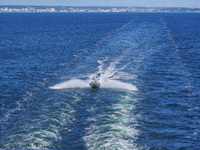 In Gdynia, Poland, on July 31, 2024, Naval Special Operations Unit Formoza soldiers escort a StenaLine ferry on its way from Gdynia, Poland,...