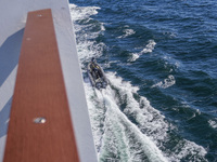 In Gdynia, Poland, on July 31, 2024, Naval Special Operations Unit Formoza soldiers escort a StenaLine ferry on its way from Gdynia, Poland,...