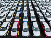 A large number of vehicles collect for shipment at the port of Lianyungang in Jiangsu province, China, on October 18, 2024. (