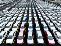 A large number of vehicles are collected for shipment at the port of Lianyungang in Jiangsu province, China, on October 18, 2024. (