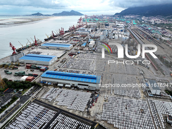 A large number of vehicles are collected for shipment at the port of Lianyungang in Jiangsu province, China, on October 18, 2024. (