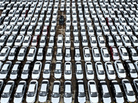 A large number of vehicles are collected for shipment at the port of Lianyungang in Jiangsu province, China, on October 18, 2024. (