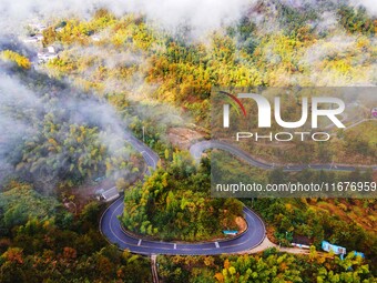 Autumn scenery is seen on a winding road in Xiangchang town, Yuexi County, Anqing city, Anhui province, China, on October 18, 2024. (