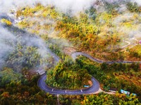 Autumn scenery is seen on a winding road in Xiangchang town, Yuexi County, Anqing city, Anhui province, China, on October 18, 2024. (