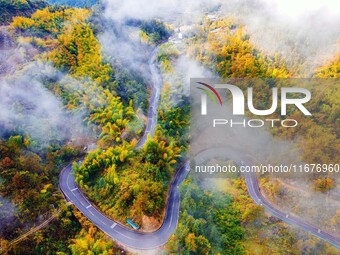 Autumn scenery is seen on a winding road in Xiangchang town, Yuexi County, Anqing city, Anhui province, China, on October 18, 2024. (