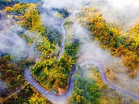 Autumn scenery is seen on a winding road in Xiangchang town, Yuexi County, Anqing city, Anhui province, China, on October 18, 2024. (