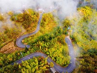 Autumn scenery is seen on a winding road in Xiangchang town, Yuexi County, Anqing city, Anhui province, China, on October 18, 2024. (