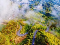 Autumn scenery is seen on a winding road in Xiangchang town, Yuexi County, Anqing city, Anhui province, China, on October 18, 2024. (