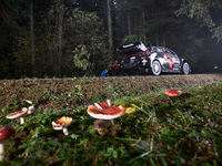 Driver Sebastien Ogier and co-driver Vincent Landais of the team Toyota Gazoo Racing WRT, Toyota GR Yaris Rally1 Hybrid, face the second day...