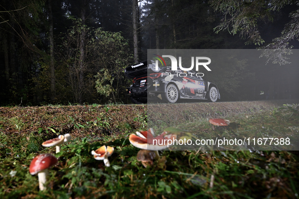 Driver Elfyn Evans and co-driver Scott Martin of the team Toyota Gazoo Racing WRT, in a Toyota GR Yaris Rally1 Hybrid, face the second day o...