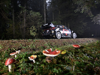 Driver Elfyn Evans and co-driver Scott Martin of the team Toyota Gazoo Racing WRT, in a Toyota GR Yaris Rally1 Hybrid, face the second day o...