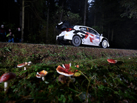 Driver Sami Pajari and co-driver Enni of the team Toyota Gazoo Racing WRT, with their Toyota GR Yaris Rally1 Hybrid, face the second day of...