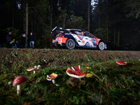 Driver Ott Tanak and co-driver Martin Jarveoja of the Hyundai Shell Mobis World Rally Team, in a Hyundai i20 N Rally1 Hybrid, face the secon...