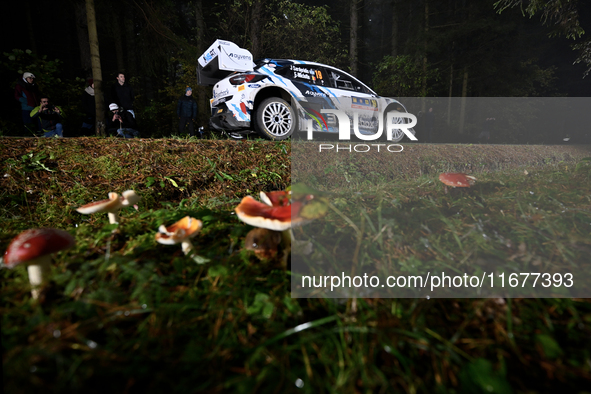 Driver Jourdan Serderidis and co-driver Andy Malfoy of the M-Sport Ford WRT, Ford Puma Rally1 Hybrid, face the second day of the race during...