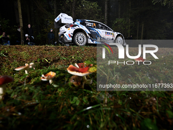 Driver Jourdan Serderidis and co-driver Andy Malfoy of the M-Sport Ford WRT, Ford Puma Rally1 Hybrid, face the second day of the race during...