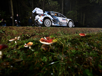 Driver Jourdan Serderidis and co-driver Andy Malfoy of the M-Sport Ford WRT, Ford Puma Rally1 Hybrid, face the second day of the race during...