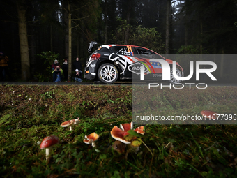 Driver Yohan Rossel and co-driver Arnaud Dunand, of the team AEC - DG Sport Competition Citroen C3, face the second day of the race during t...