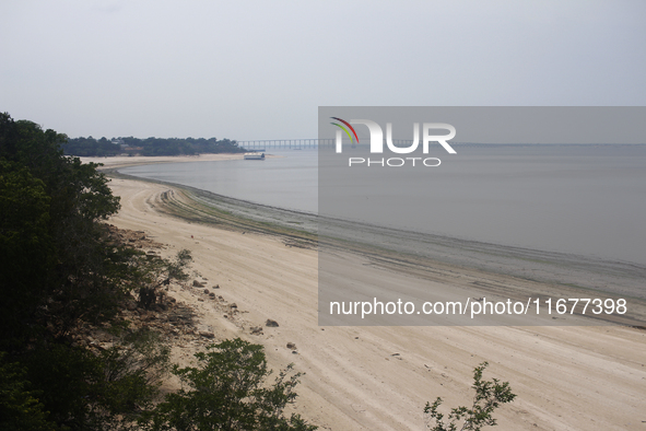 A historic drought occurs on the Negro River, seen from the Ponta Negra neighborhood in Manaus, Amazonas, Brazil, on October 13, 2024. 