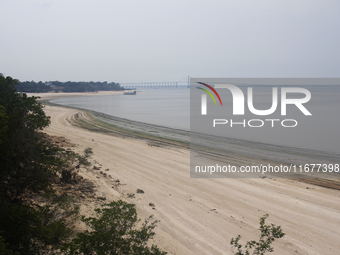 A historic drought occurs on the Negro River, seen from the Ponta Negra neighborhood in Manaus, Amazonas, Brazil, on October 13, 2024. (